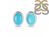 Turquoise Stud Earring TRQ-RDE-1113.