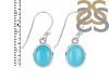 Turquoise Earring TRQ-RDE-1131.