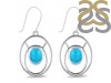 Turquoise Earring TRQ-RDE-114.