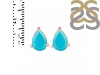 Turquoise Stud Earring TRQ-RDE-1368.