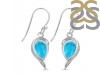 Turquoise Earring TRQ-RDE-307.