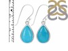 Turquoise Earring TRQ-RDE-728.