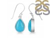 Turquoise Earring TRQ-RDE-728.