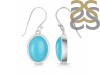 Turquoise Earring TRQ-RDE-730.