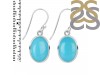 Turquoise Earring TRQ-RDE-830.