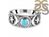 Turquoise Ring TRQ-RDR-1019.