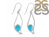 Turquoise Earring TRQ-RDE-113.