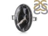 Zebra Skin Jasper Adjustable Ring-ADJ-R ZSJ-2-21
