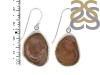Coconut Geode Earring-E CCG-3-19