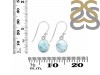Close Out Larimar Earring LAR-CO-RDE-1131.