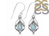 Close Out Larimar Earring LAR-CO-RDE-222.