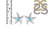 Larimar Star Fish Stud Earring LAR-RUE-1.