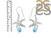 Larimar & White Topaz Star Fish Earring LAR-RUE-31.