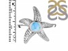Larimar Star Fish Ring LAR-RUR-28.