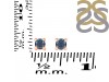 Labradorite Stud Earring LBD-RDE-1296.