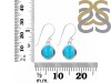 Turquoise Earring TRQ-RDE-1116.