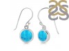 Turquoise Earring TRQ-RDE-1133.