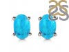 Turquoise Stud Earring TRQ-RDE-1143.