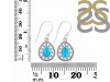 Turquoise Earring TRQ-RDE-198.