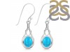 Turquoise Earring TRQ-RDE-234.