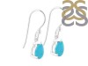 Turquoise Earring TRQ-RDE-676.