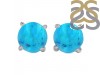 Turquoise Stud Earring TRQ-RDE-699.