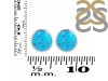 Turquoise Stud Earring TRQ-RDE-723.