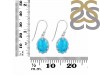 Turquoise Earring TRQ-RDE-833.