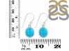 Turquoise Earring TRQ-RDE-843.