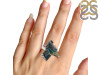 Bismuth Ring-R-Size-6 BSM-2-41