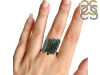 Bismuth Ring-R-Size-9 BSM-2-56