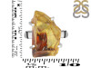 Amber Ring-R-Size-7 AMB-2-107
