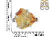 Amber Ring-R-Size-7 AMB-2-73