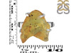 Amber Ring-R-Size-8 AMB-2-81