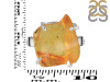 Amber Ring-R-Size-7 AMB-2-84