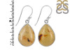 Amber Earring-E AMB-3-1