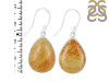Amber Earring-E AMB-3-10
