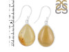 Amber Earring-E AMB-3-13