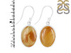 Amber Earring-E AMB-3-17