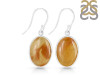 Amber Earring-E AMB-3-17