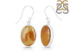 Amber Earring-E AMB-3-17