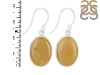 Amber Earring-E AMB-3-19