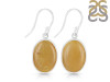 Amber Earring-E AMB-3-19