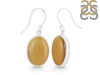Amber Earring-E AMB-3-19