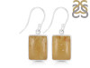 Amber Earring-E AMB-3-20