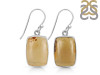 Amber Earring-E AMB-3-22
