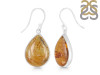 Amber Earring-E AMB-3-4