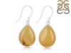 Amber Earring-E AMB-3-5