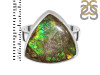 Ammolite Adjustable Ring-ADJ-R AML-2-26