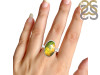 Ammolite Adjustable Ring-ADJ-R AML-2-9